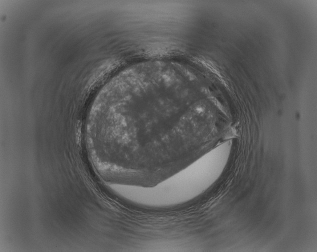 X0000067890495200605111854