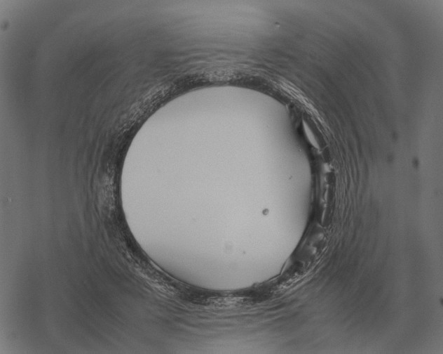 X0000067890497200605111854