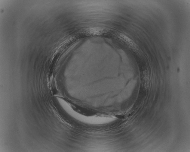 X0000067890500200605111854