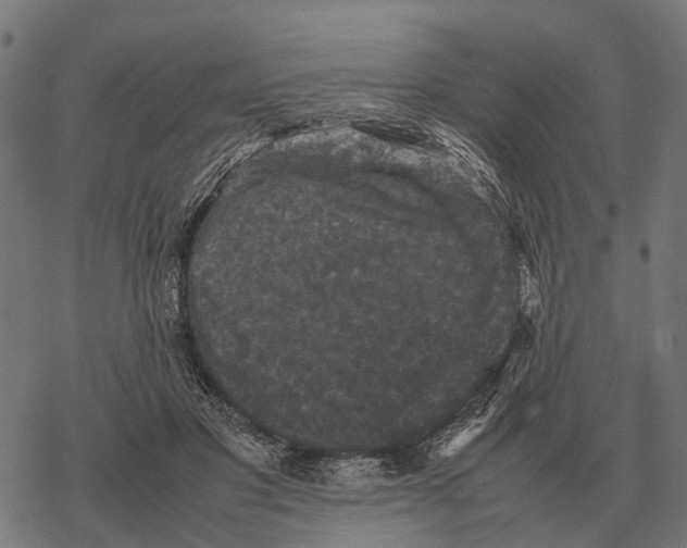 X0000067890501200605111854