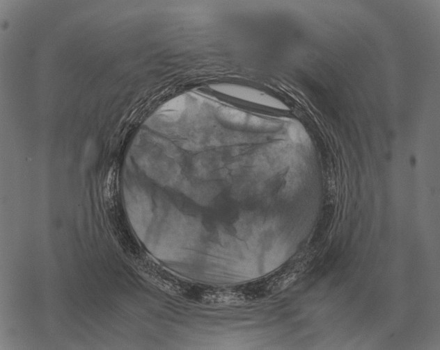 X0000067890503200605111854