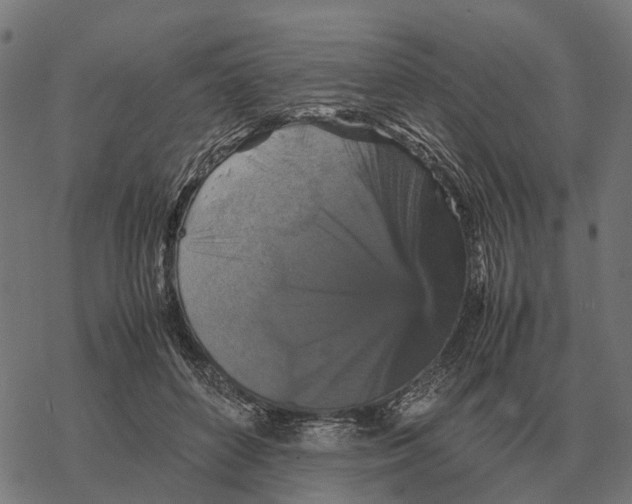 X0000067890504200605111854