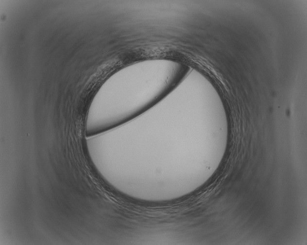 X0000067890505200605111854