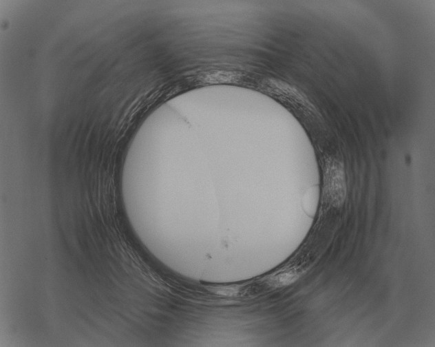 X0000067890506200605111854