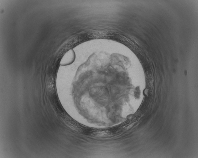 X0000067890507200605111854