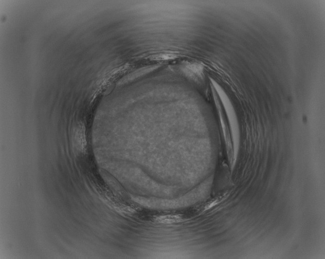 X0000067890508200605111854