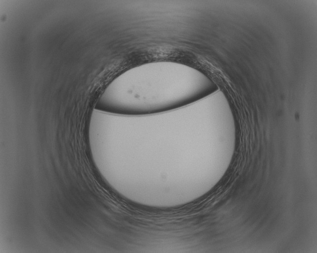 X0000067890509200605111854