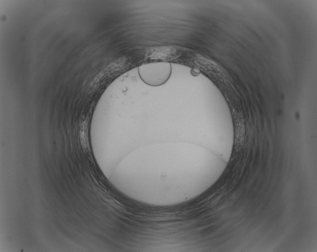 X0000067890510200605111854