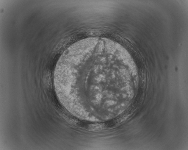 X0000067890511200605111854