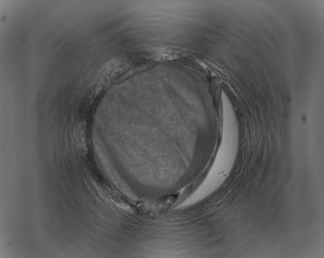 X0000067890512200605111854