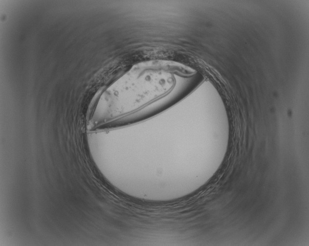 X0000067890513200605111854