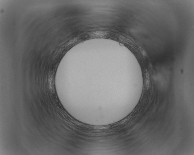 X0000067890514200605111854