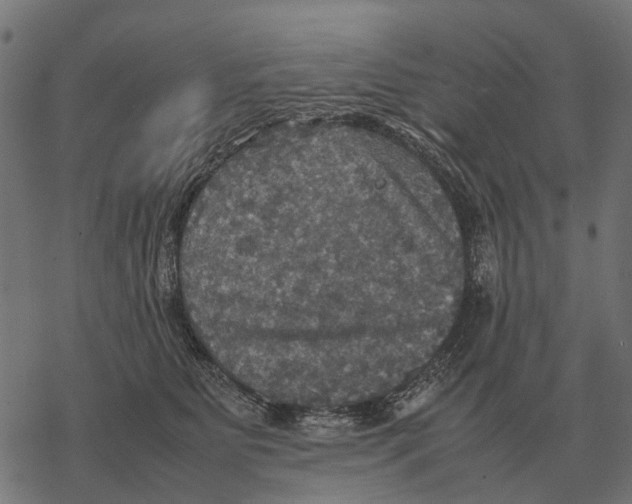 X0000067890515200605111854