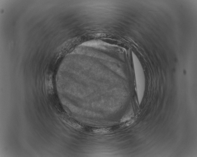 X0000067890516200605111854