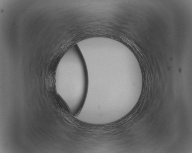 X0000067890517200605111854