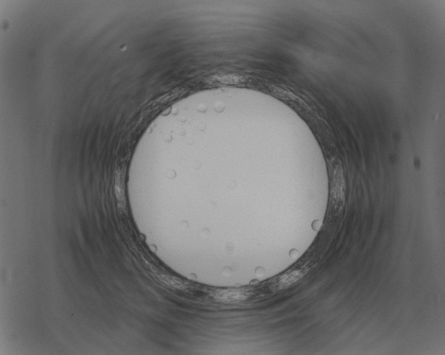 X0000067890518200605111854