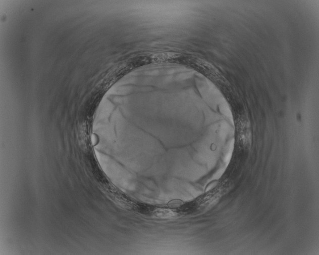 X0000067890519200605111854