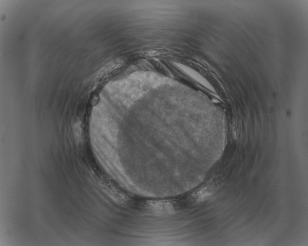 X0000067890520200605111854