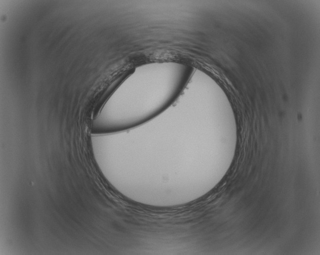 X0000067890521200605111854