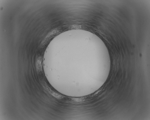 X0000067890522200605111854