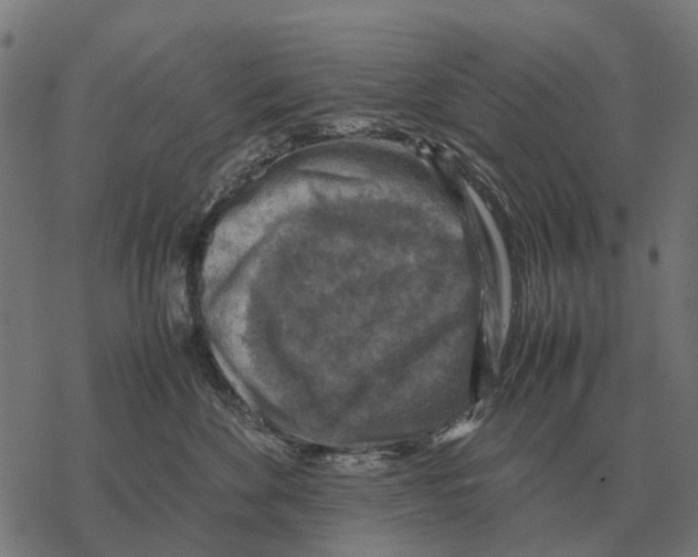 X0000067890524200605111854