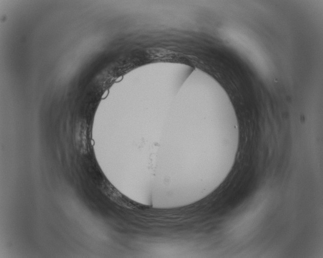 X0000067890525200605111854