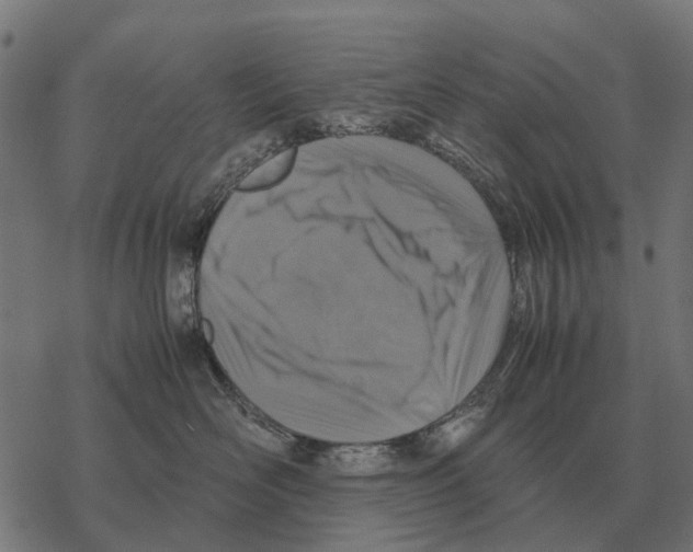 X0000067890526200605111854