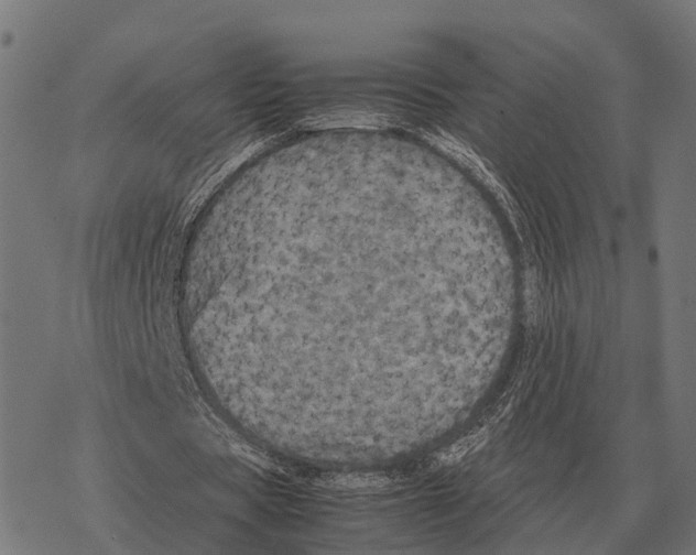 X0000067890529200605111853