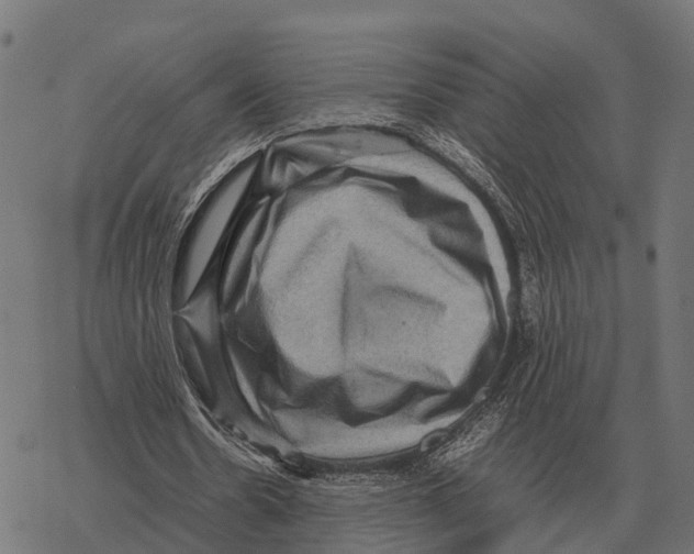 X0000067890530200605111853