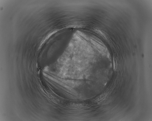 X0000067890531200605111853