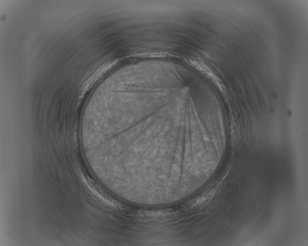 X0000067890533200605111853