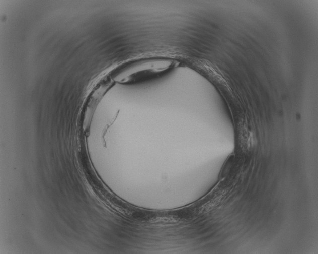 X0000067890536200605111853