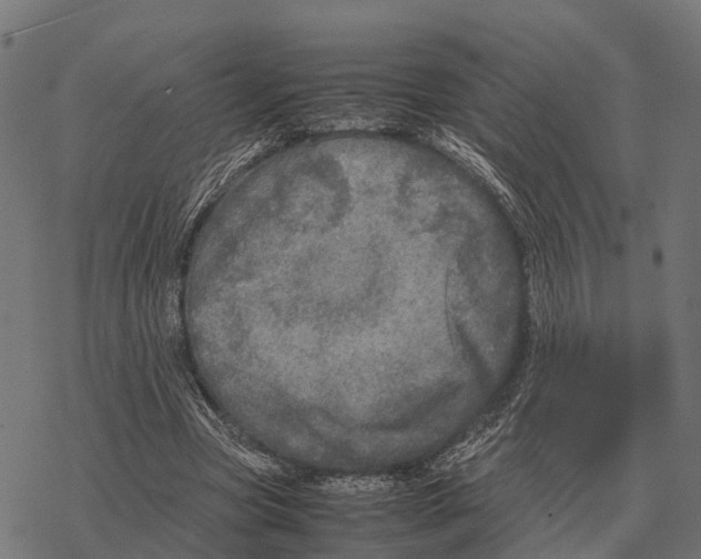 X0000067890537200605111853