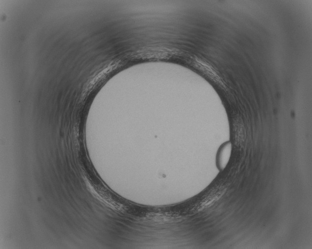 X0000067890538200605111853