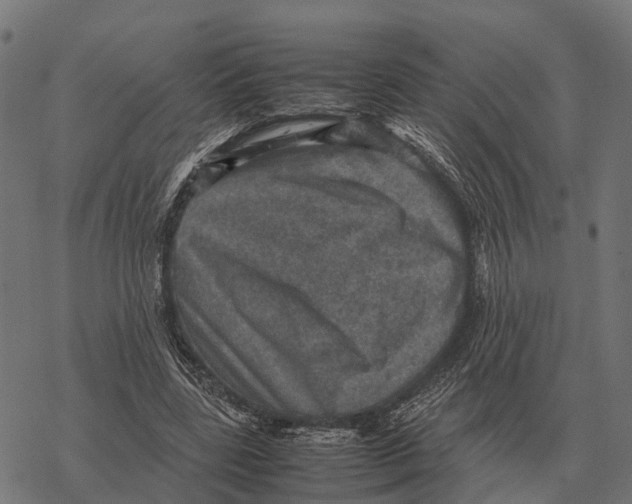 X0000067890539200605111853