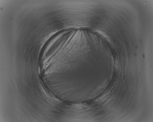 X0000067890540200605111853