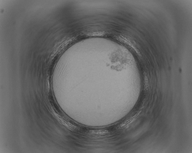 X0000067890541200605111853