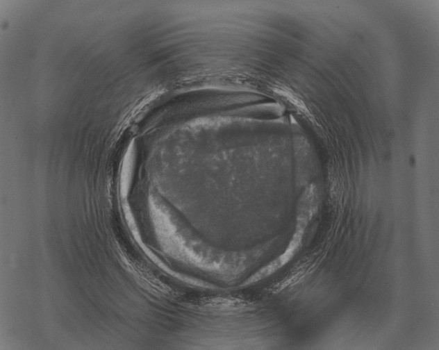 X0000067890542200605111853