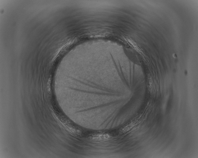 X0000067890543200605111853