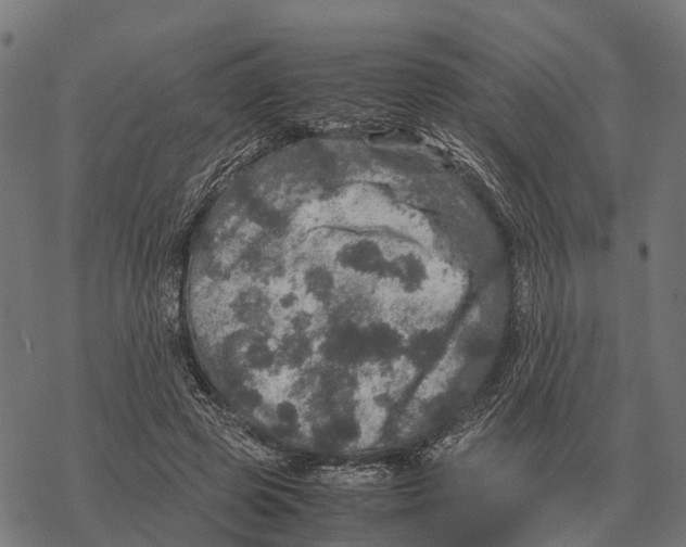 X0000067890545200605111853