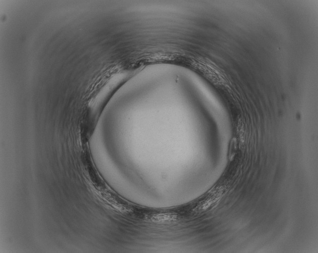 X0000067890546200605111853