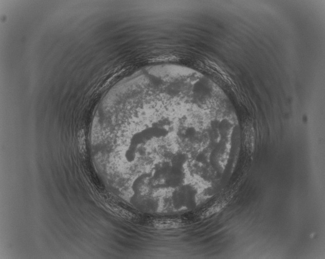 X0000067890549200605111853