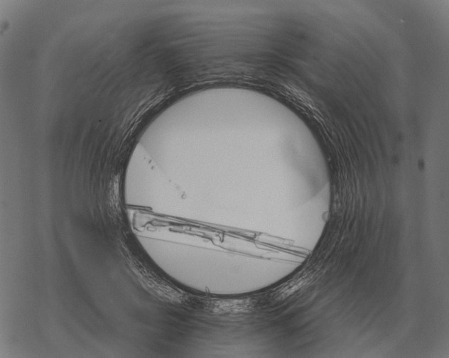 X0000067890550200605111853