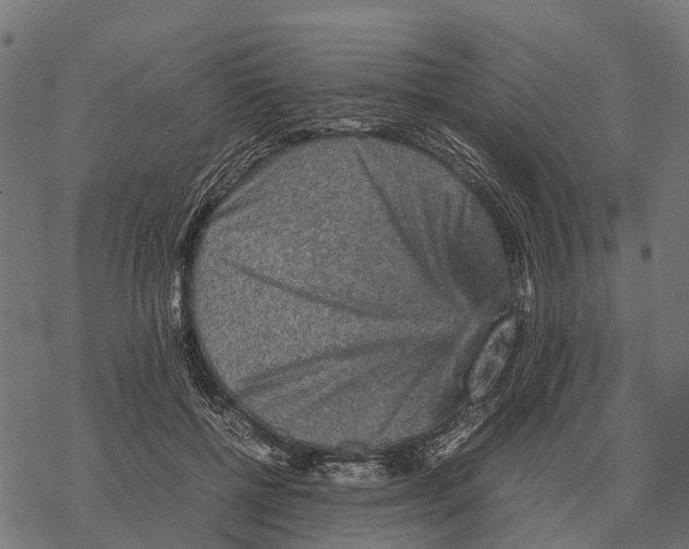 X0000067890552200605111853