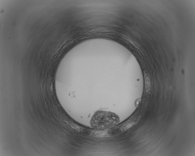 X0000067890554200605111853