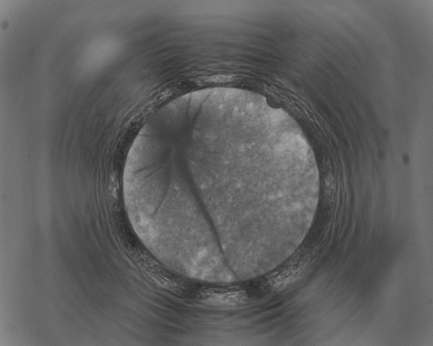 X0000067890555200605111853