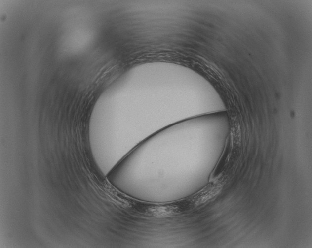 X0000067890558200605111853