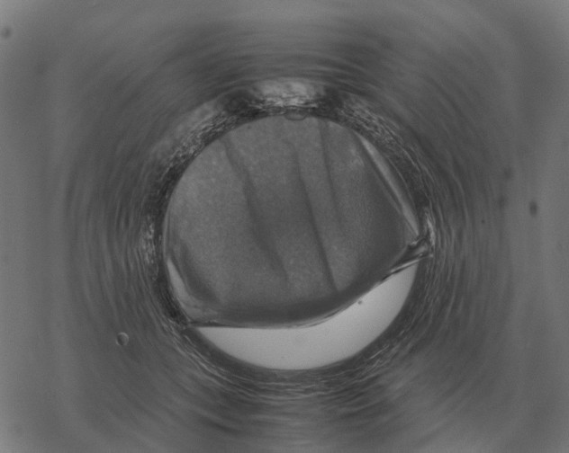 X0000067890559200605111854