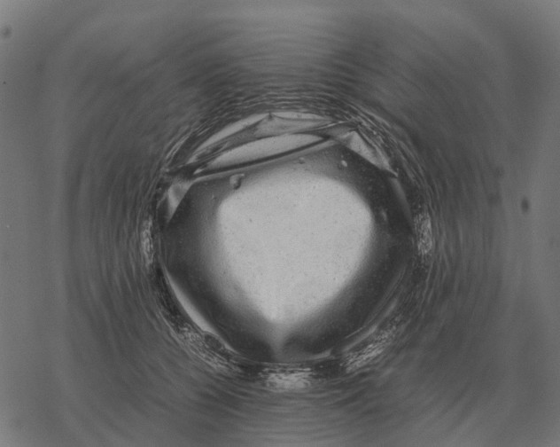 X0000067890560200605111854