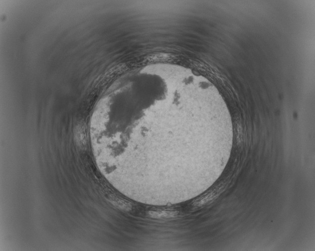 X0000067890561200605111854